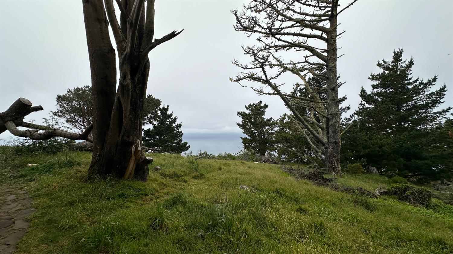 Weston Ridge Road, Carmel, California image 23