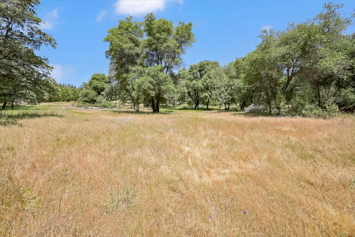 Detail Gallery Image 41 of 80 For 14818 Willow Glen Rd, Brownsville,  CA 95919 - – Beds | – Baths