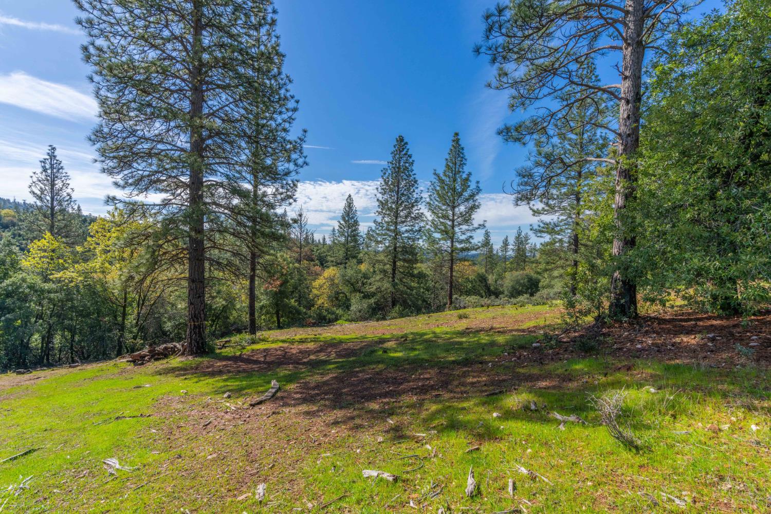 Petersen Ranch, Pine Grove, California image 5