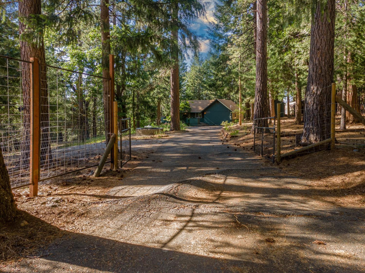 Blue Mountain Drive, Grizzly Flats, California image 3