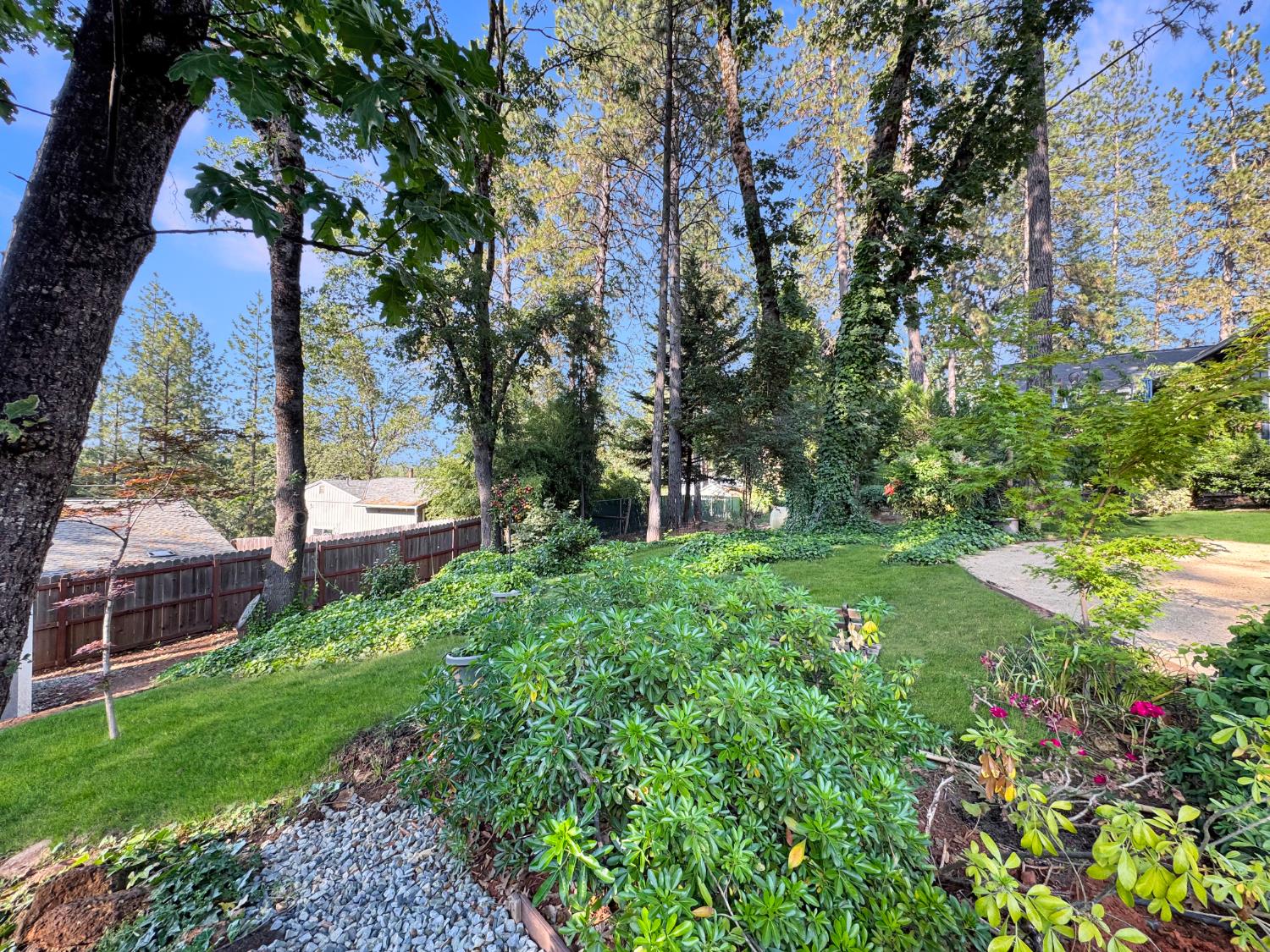Upper Circle Drive, Grass Valley, California image 6
