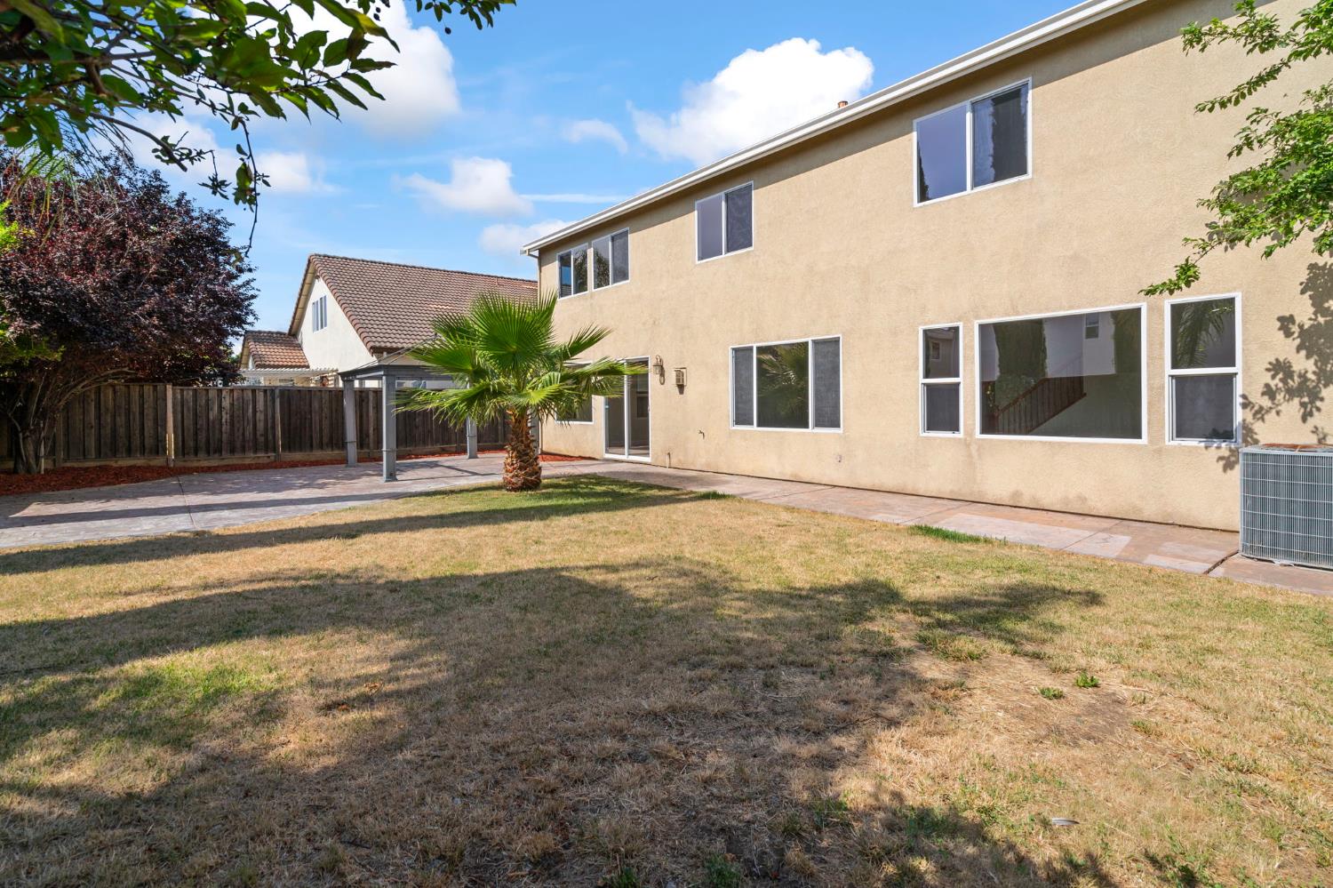 Daylily Lane, Patterson, California image 41