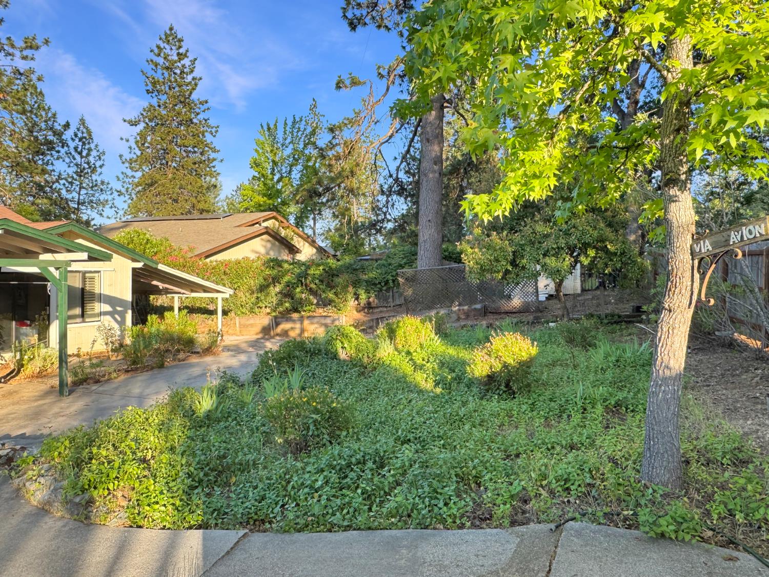 Aileen Way, Grass Valley, California image 21