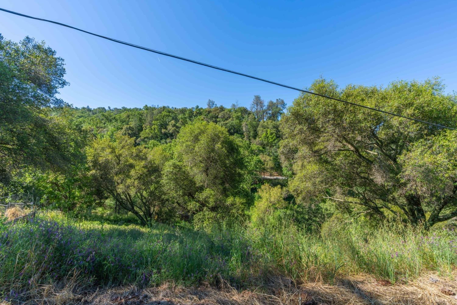 Eureka Street, Sutter Creek, California image 5