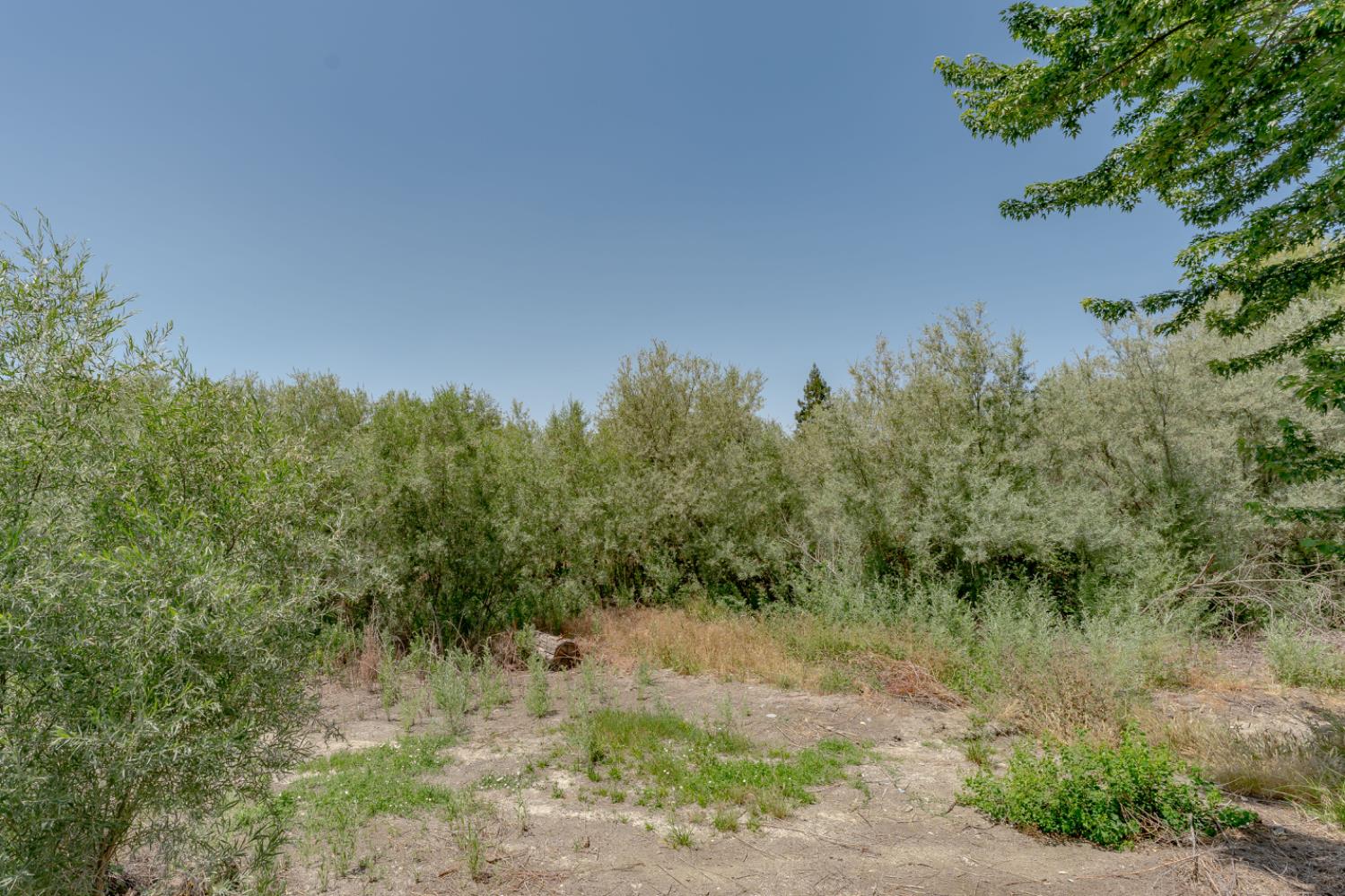 Charter Court, Rocklin, California image 34