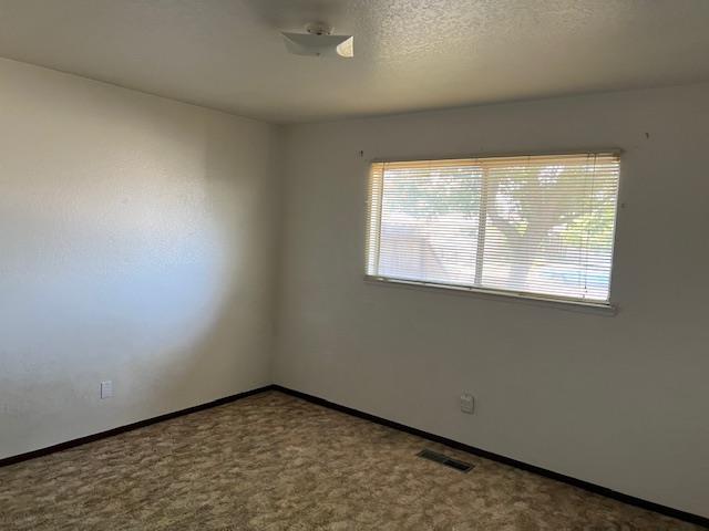 De Pauw Drive, Turlock, California image 10
