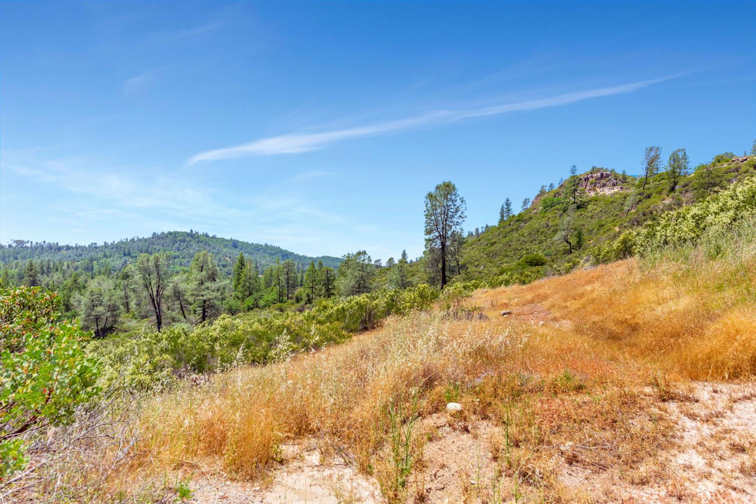 Newtown Road, Placerville, California image 30