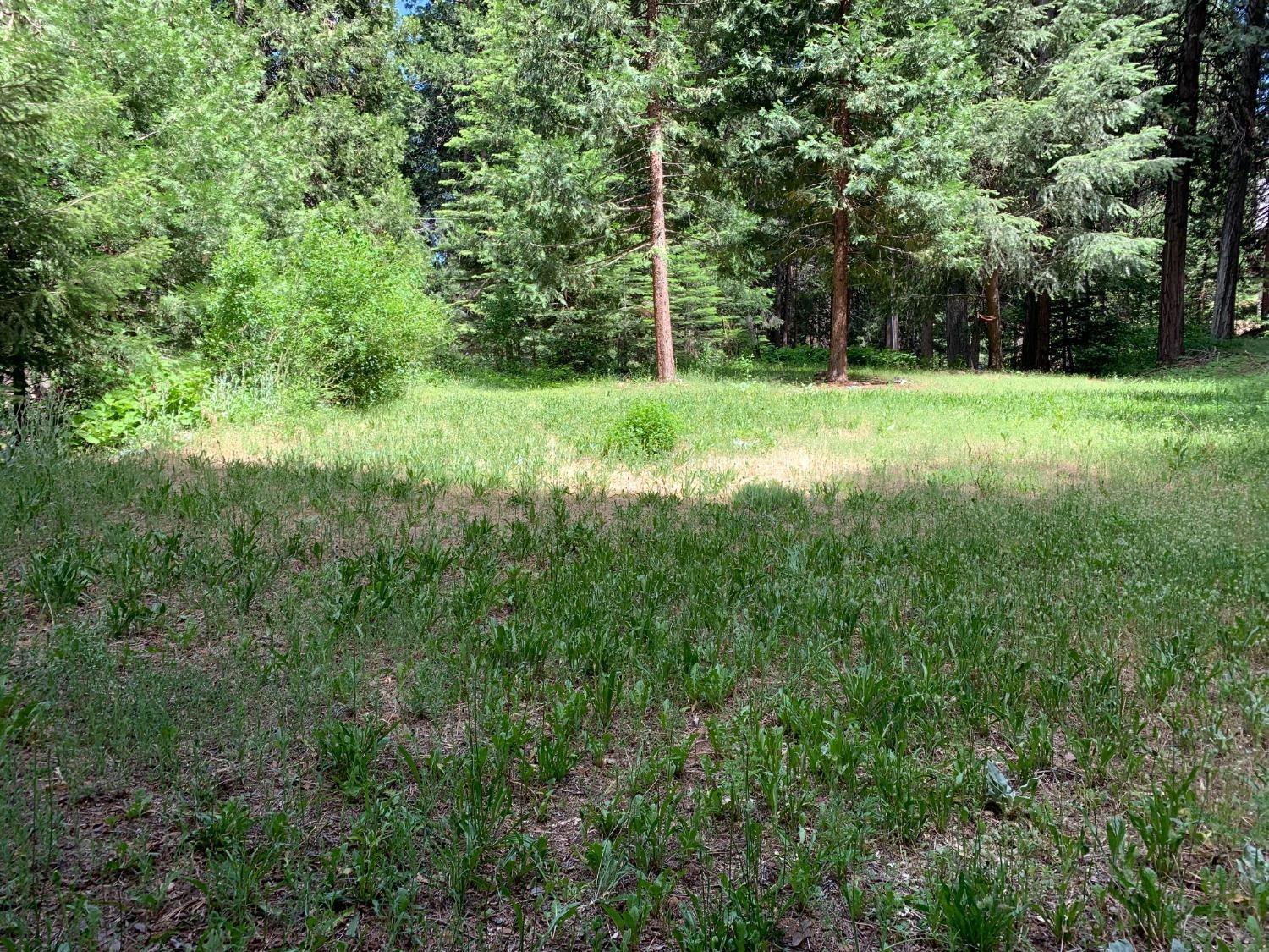 Stacy Lane, Pollock Pines, California image 4