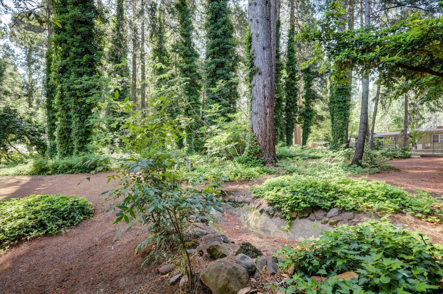 Mayflower Drive, Nevada City, California image 48