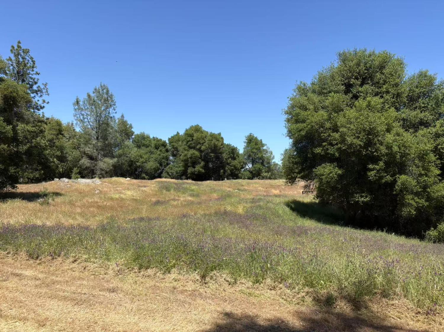 Van Pooka Court, Somerset, California image 8