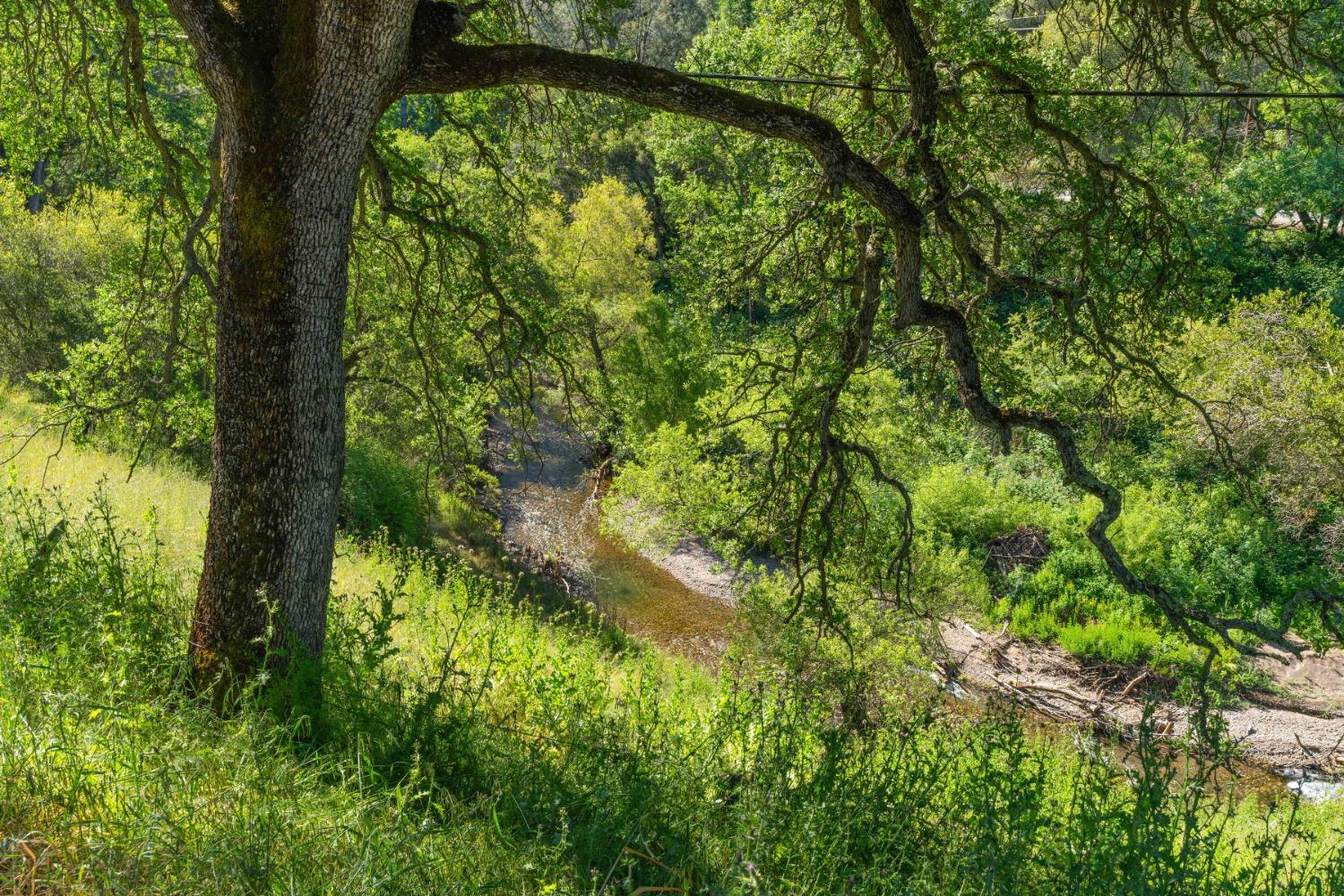 Eureka Street, Sutter Creek, California image 1