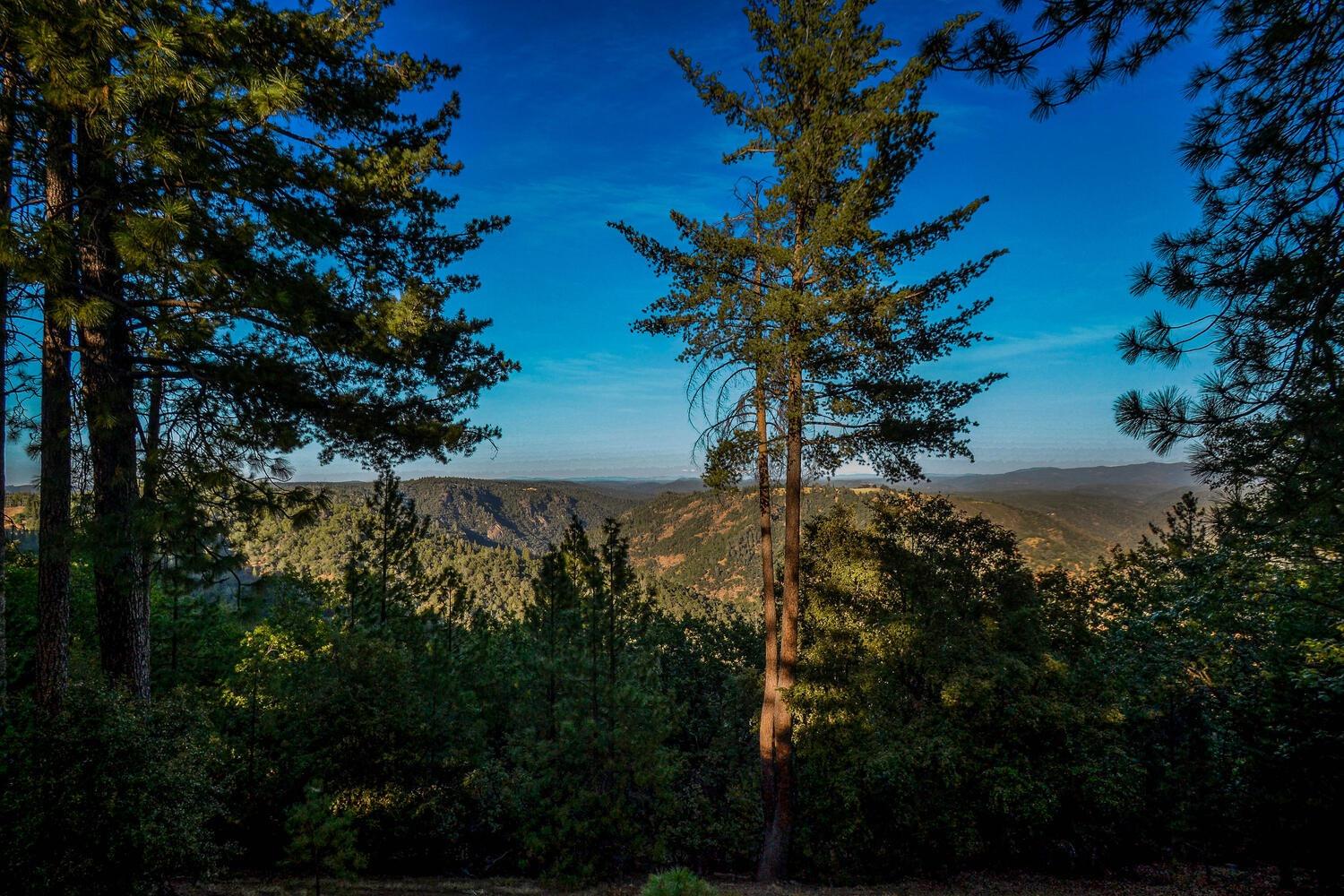 Gold View Way, Pine Grove, California image 5