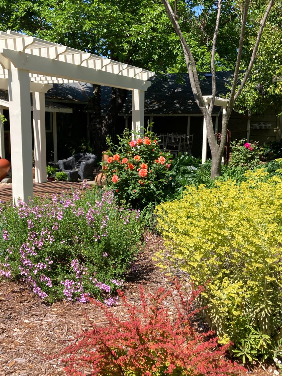 Mahala Drive, Carmichael, California image 38