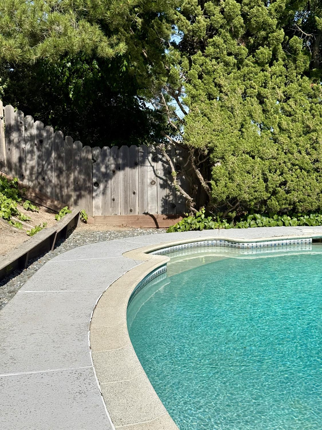 Campolindo Drive, Moraga, California image 22