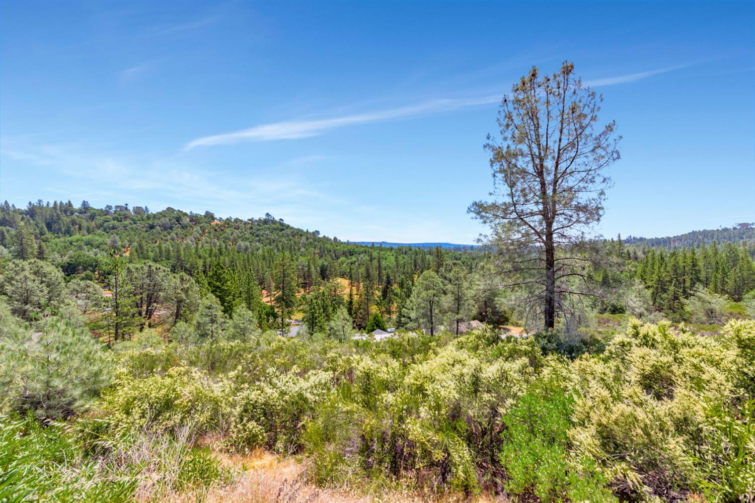 Newtown Road, Placerville, California image 29