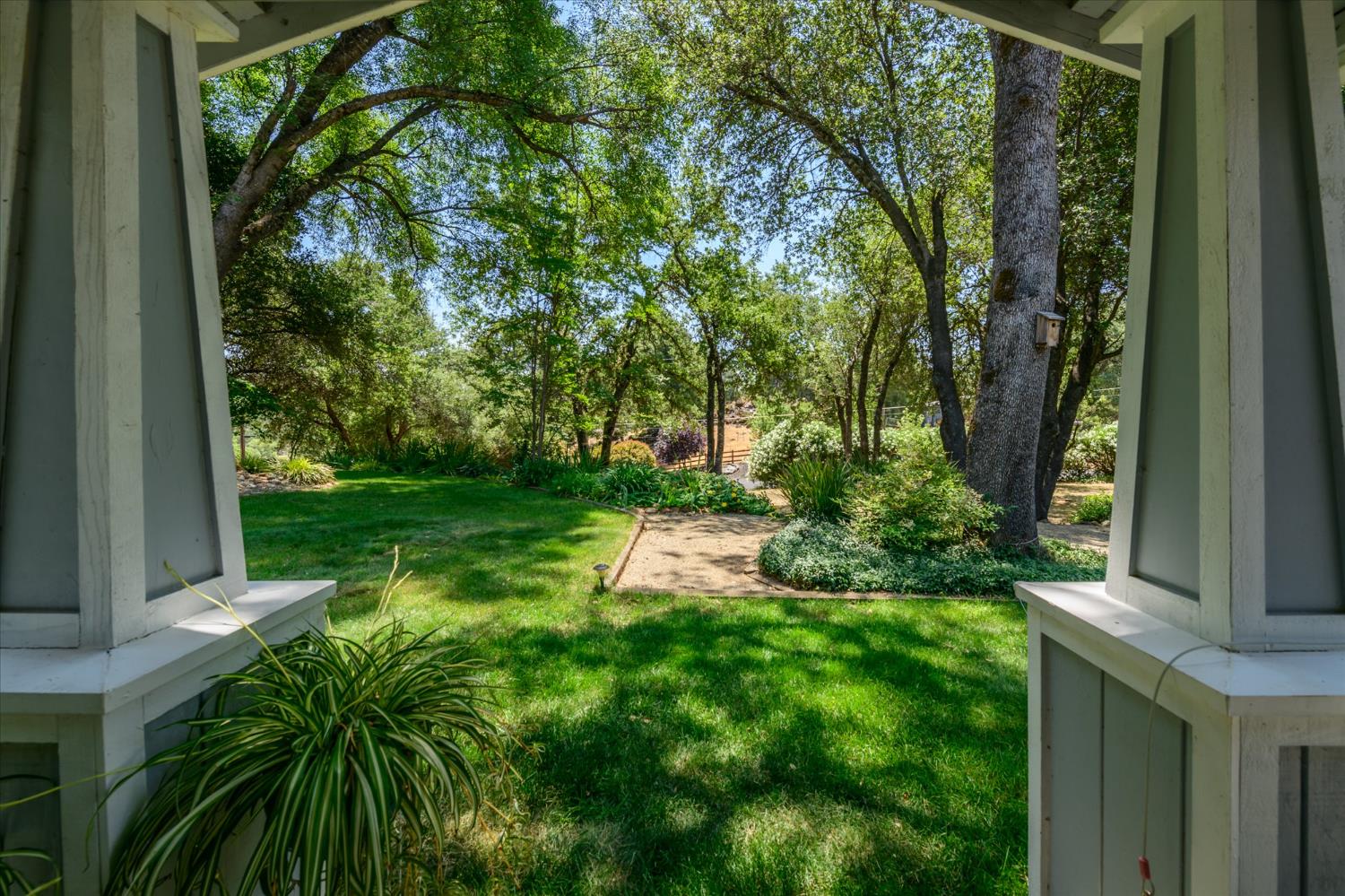 Fawn Street, Shingle Springs, California image 8