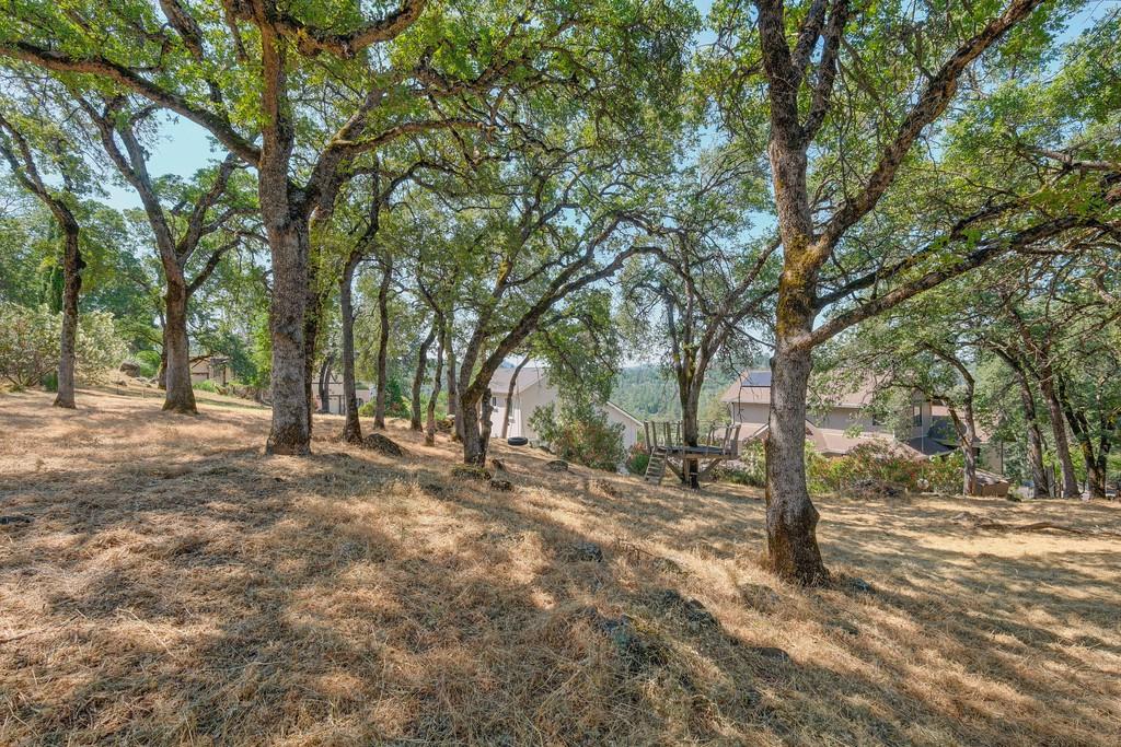 Lodgepole Court, Penn Valley, California image 36