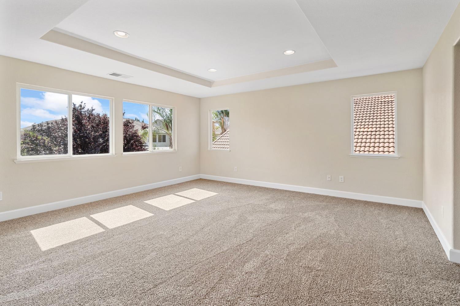 Daylily Lane, Patterson, California image 34