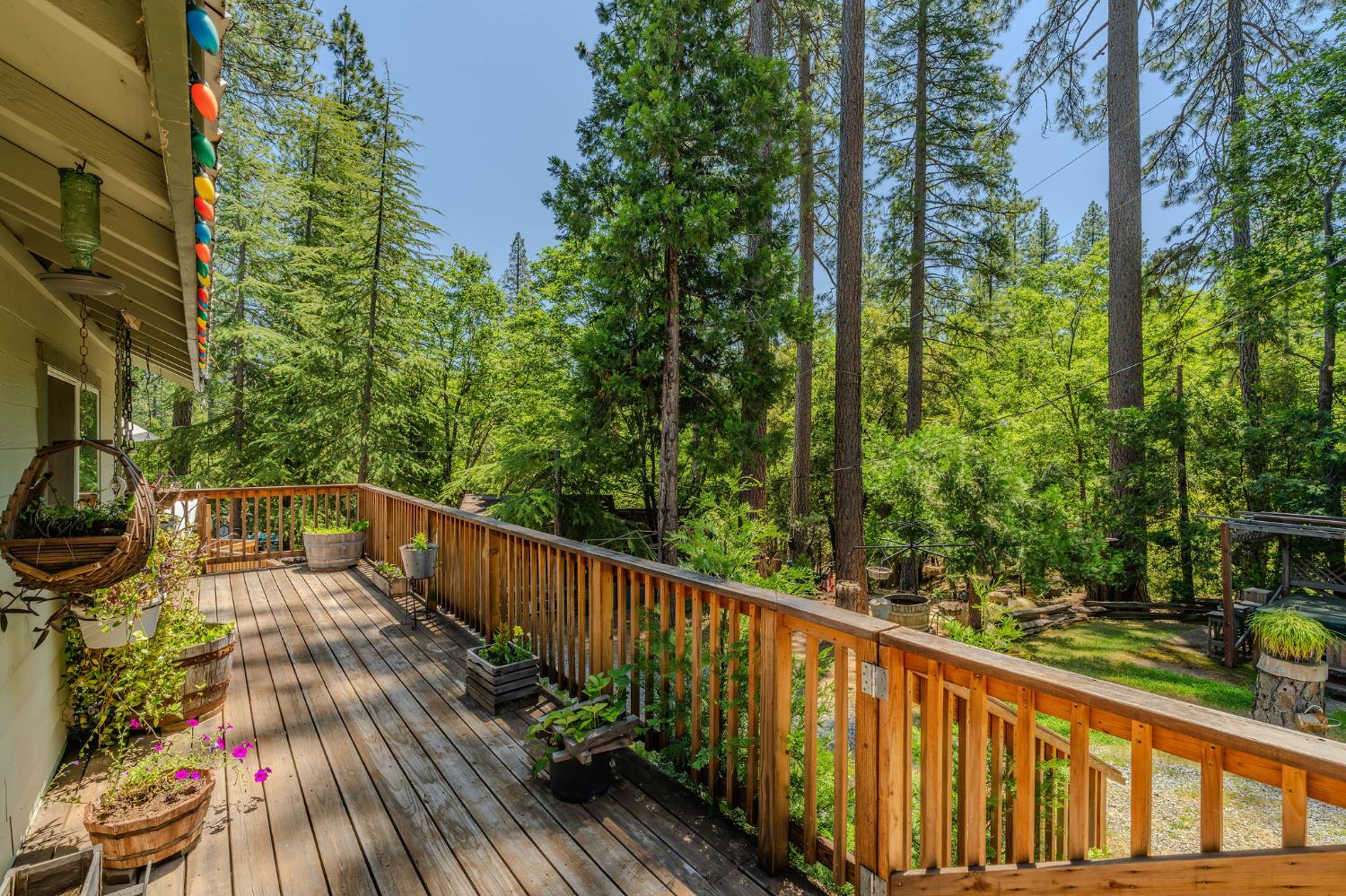 Detail Gallery Image 49 of 70 For 2059 Winton Rd, West Point,  CA 95255 - 2 Beds | 2 Baths