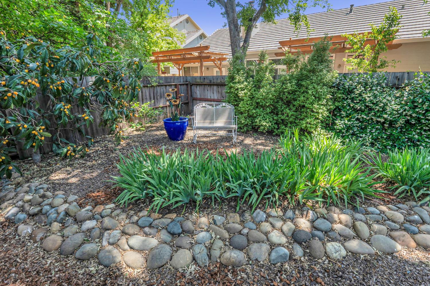 Bryce Lane, Davis, California image 29