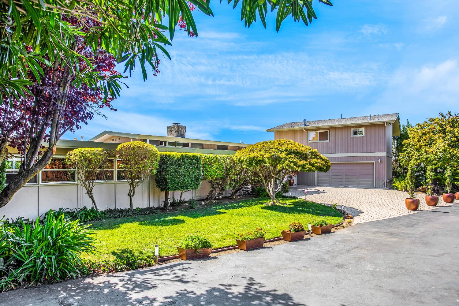 Prieta, San Jose, California image 5