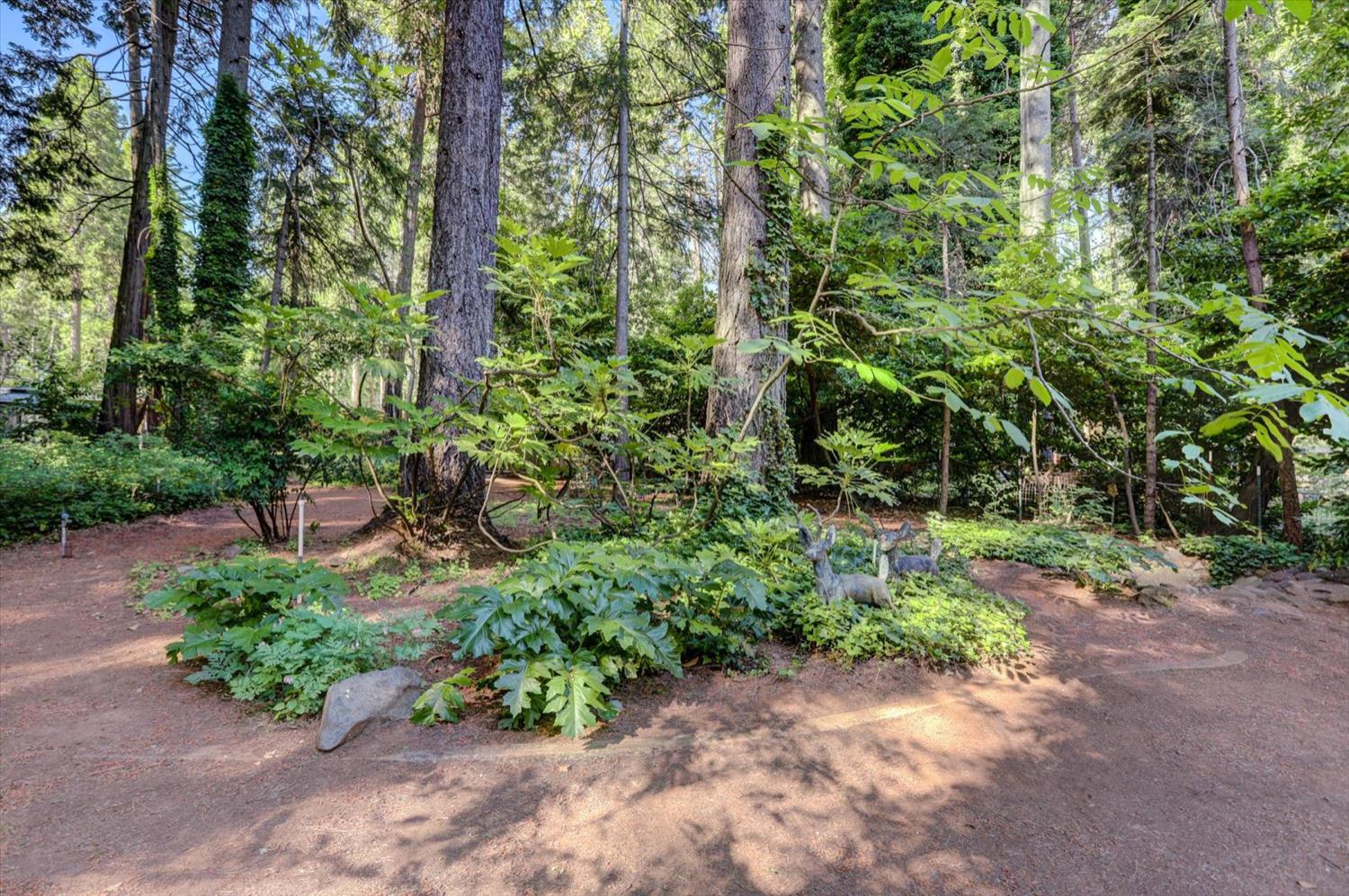 Mayflower Drive, Nevada City, California image 44
