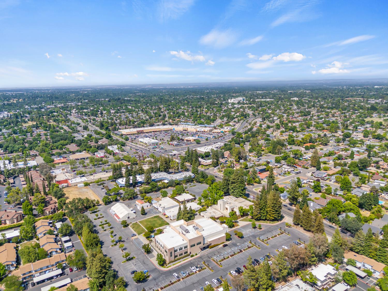Greenberry, Citrus Heights, California image 42