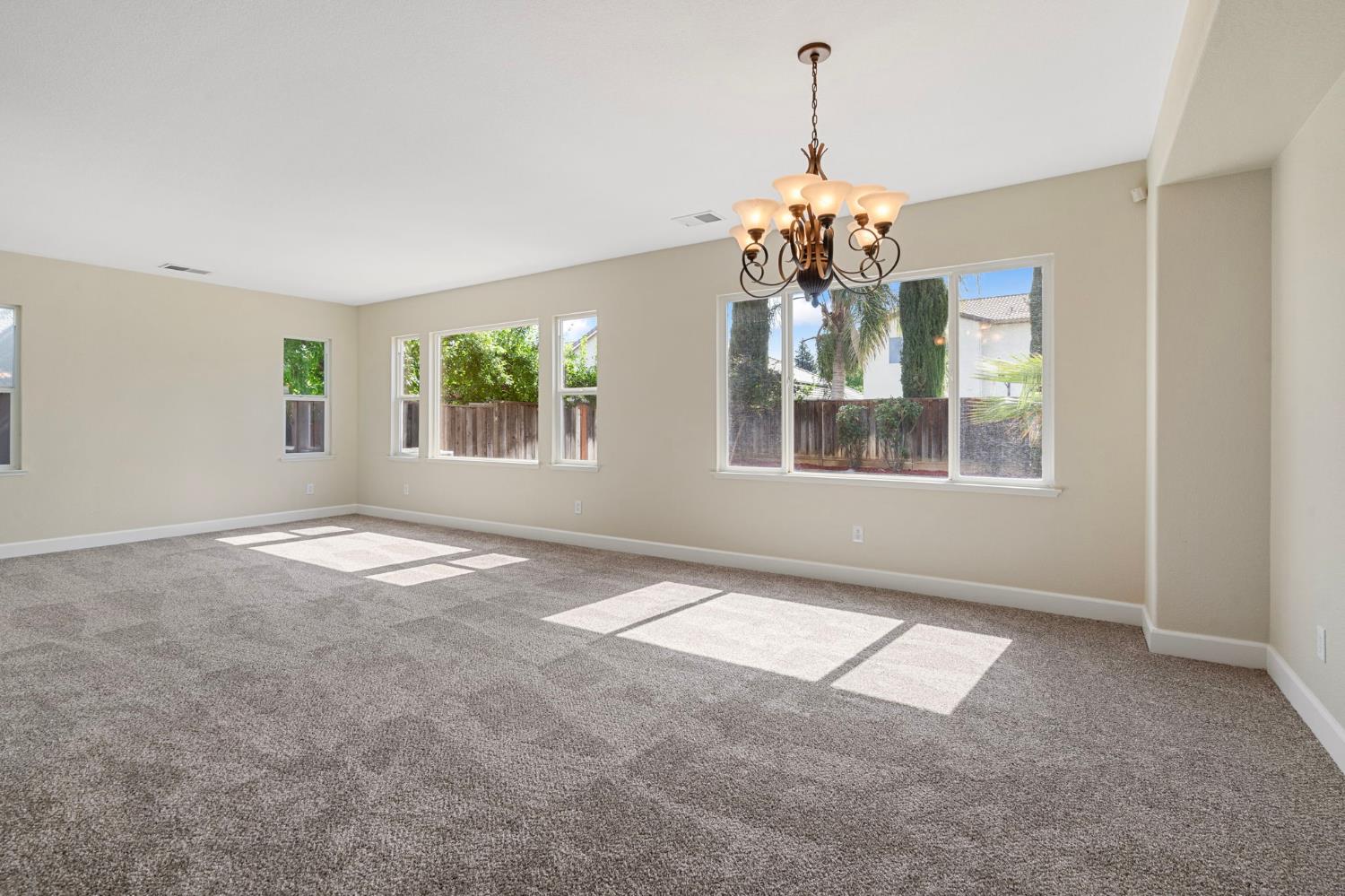 Daylily Lane, Patterson, California image 10