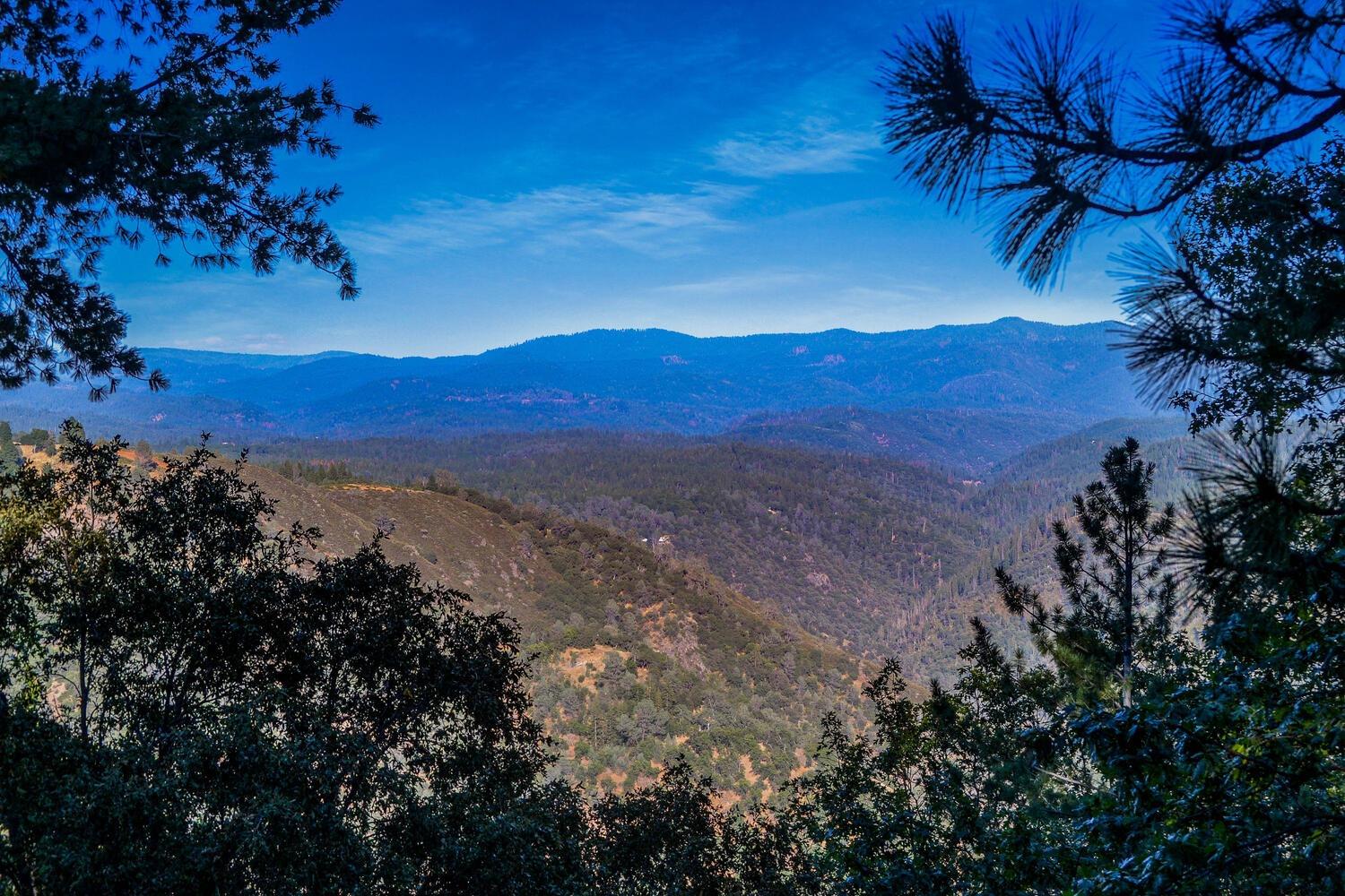 Gold View Way, Pine Grove, California image 6