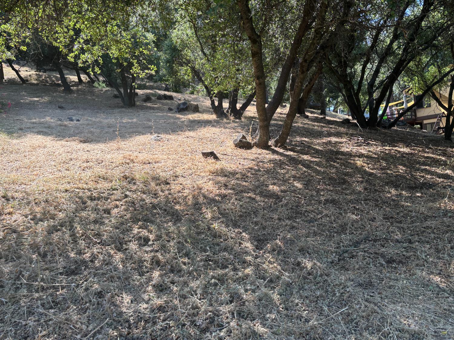 Roadrunner Dr, Penn Valley, California image 2