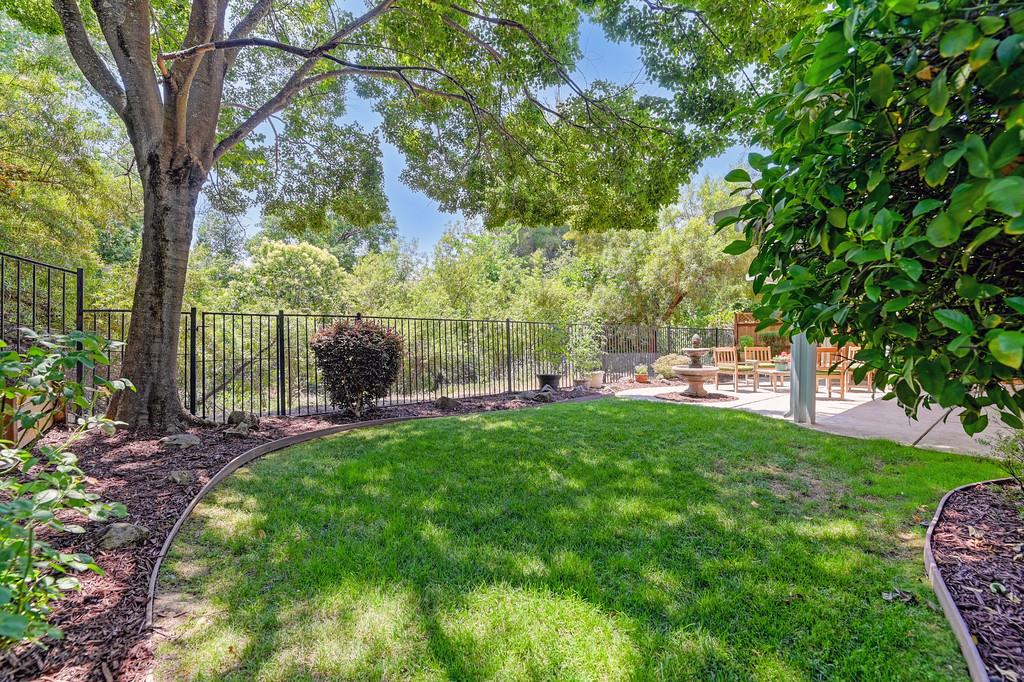 Pheasant Lane, Rocklin, California image 47
