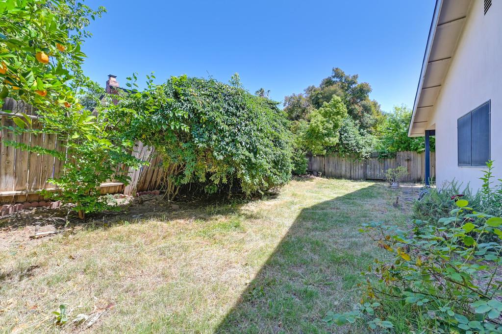 Mira Del Rio Way, Sacramento, California image 20