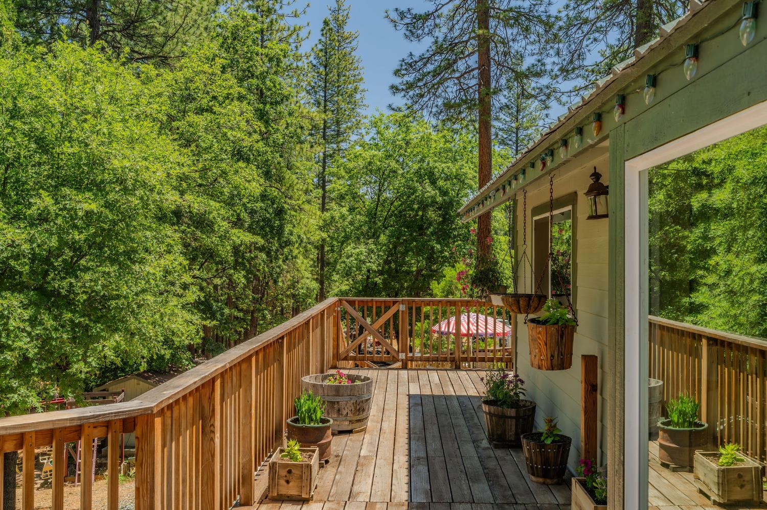 Detail Gallery Image 54 of 70 For 2059 Winton Rd, West Point,  CA 95255 - 2 Beds | 2 Baths