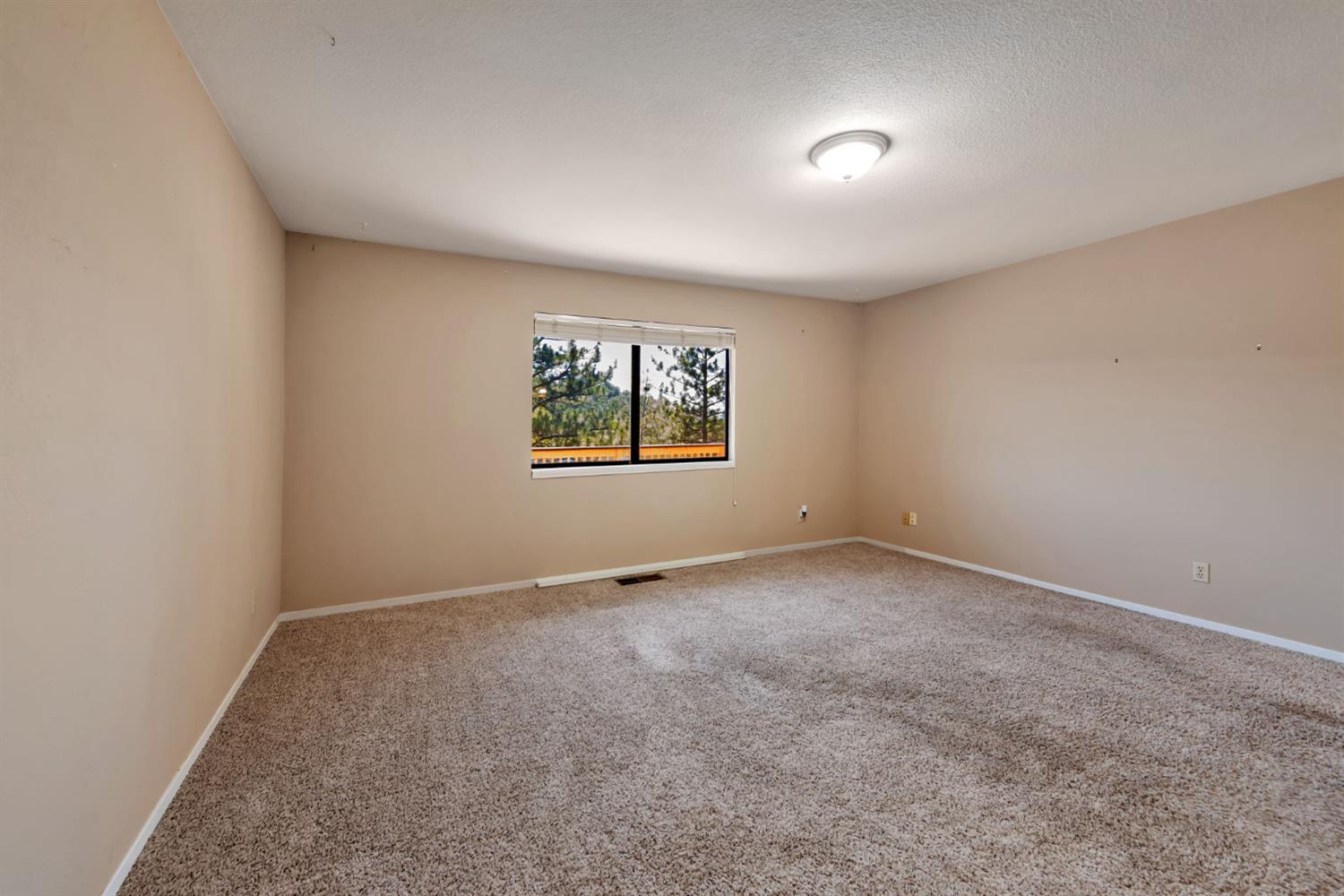 Newtown Road, Placerville, California image 10