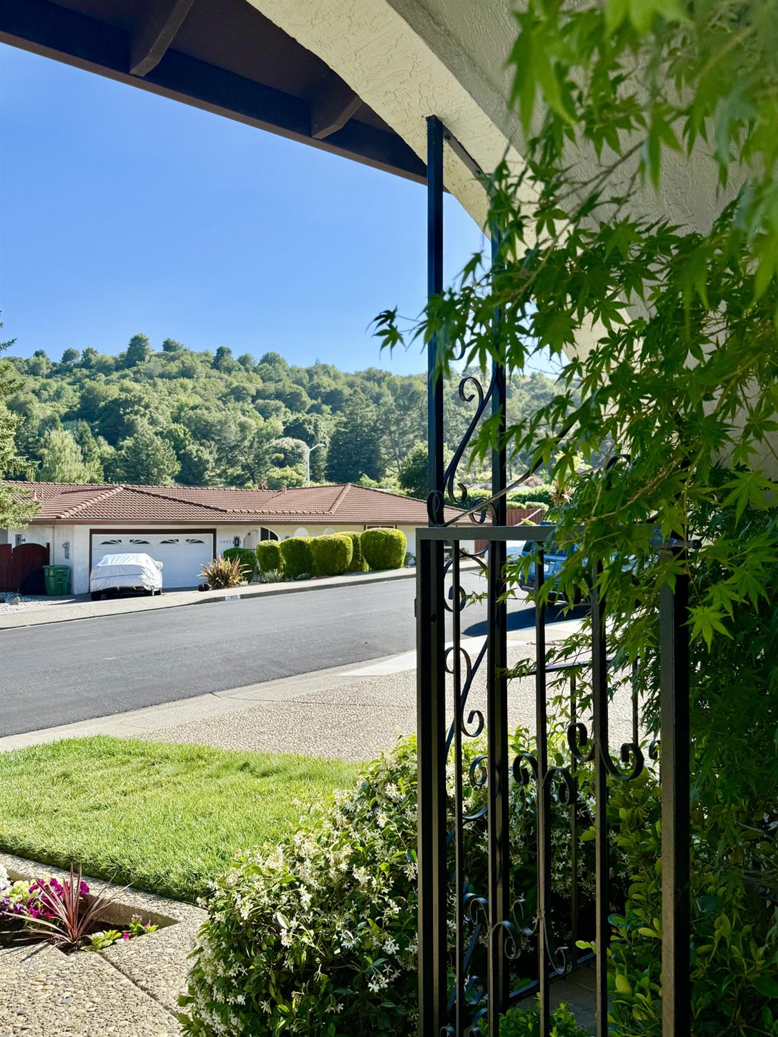 Campolindo Drive, Moraga, California image 27