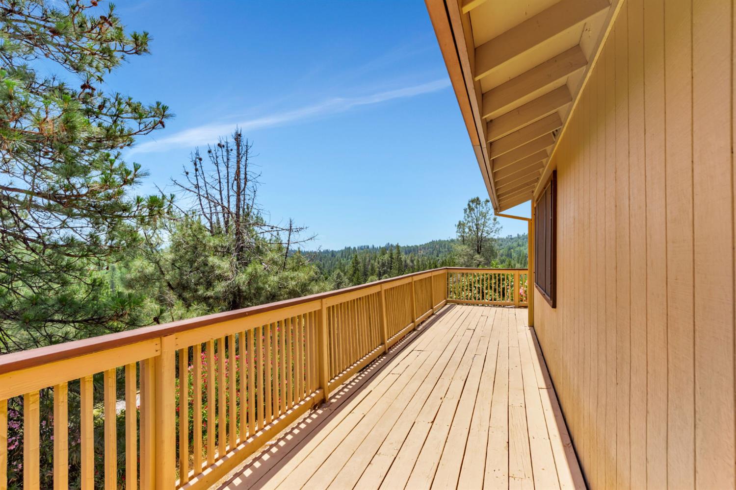 Newtown Road, Placerville, California image 27