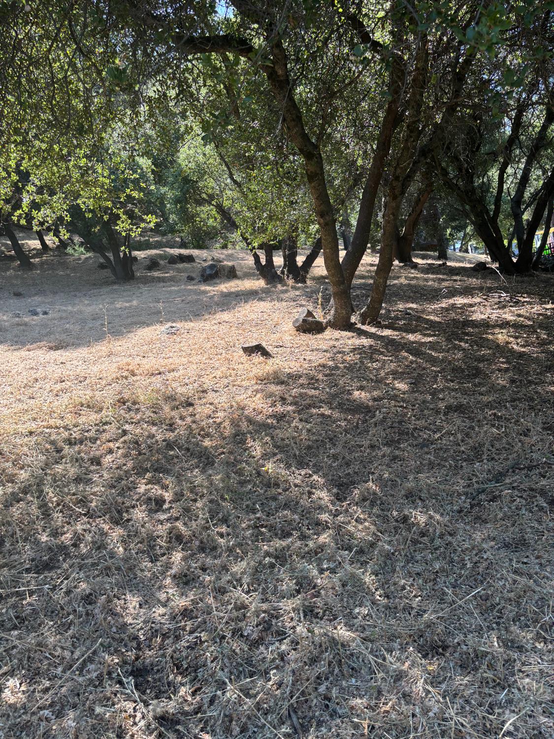 Roadrunner Dr, Penn Valley, California image 4