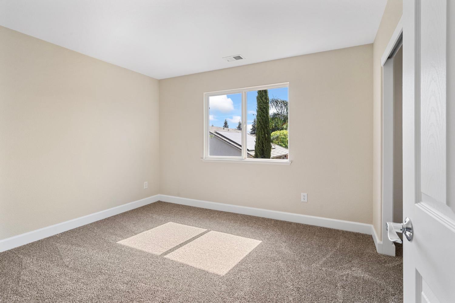 Daylily Lane, Patterson, California image 31