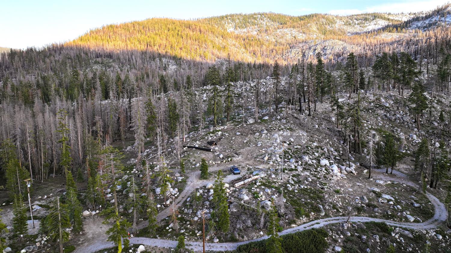 Huckleberry Heights, Echo Lake, California image 14