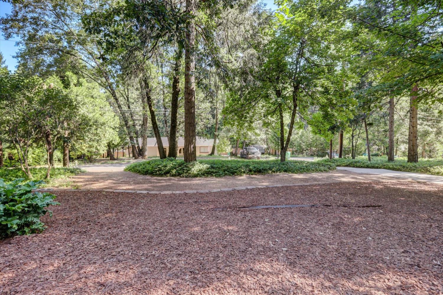 Mayflower Drive, Nevada City, California image 6