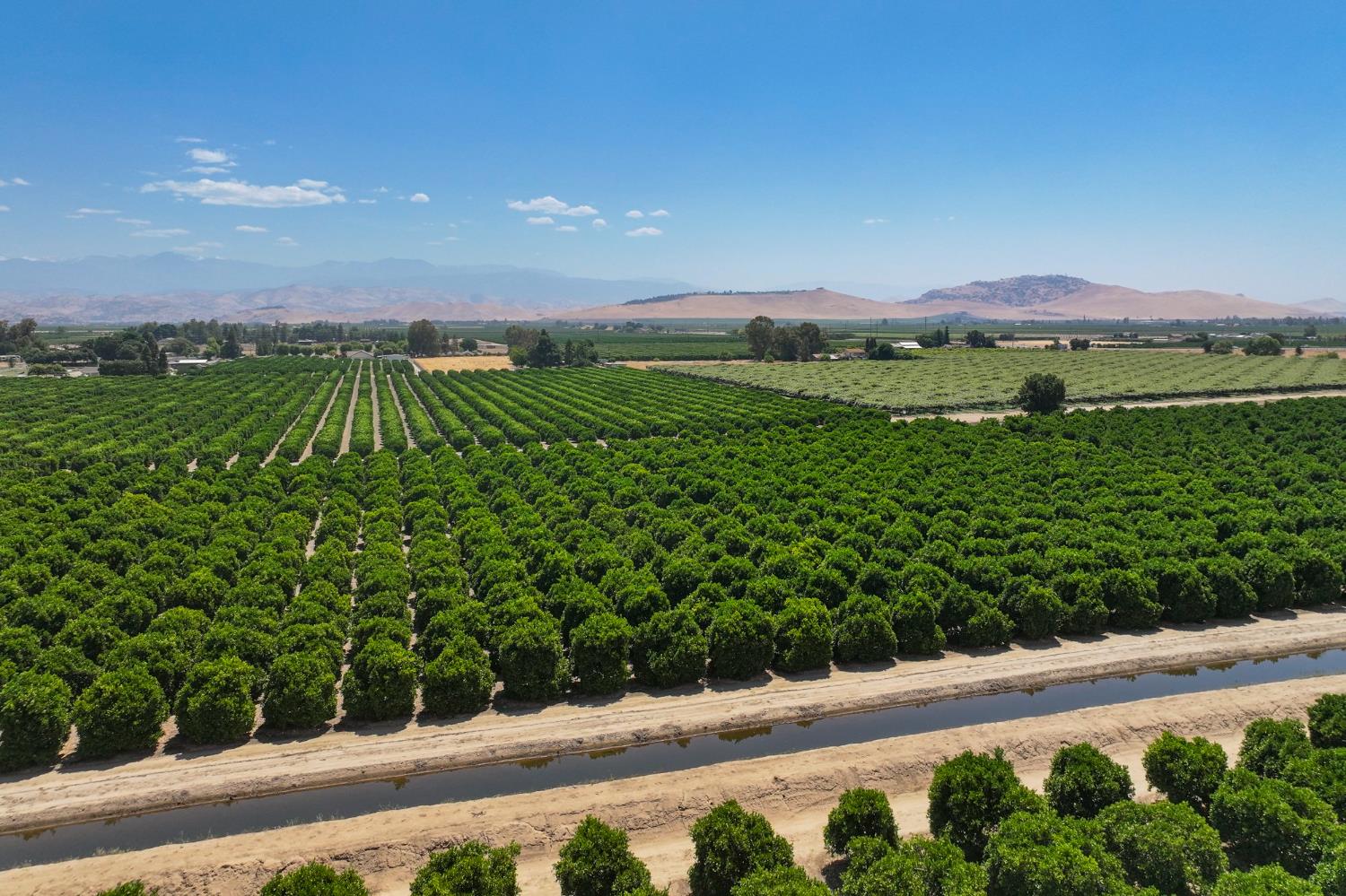 Ca 198, Exeter, California image 6