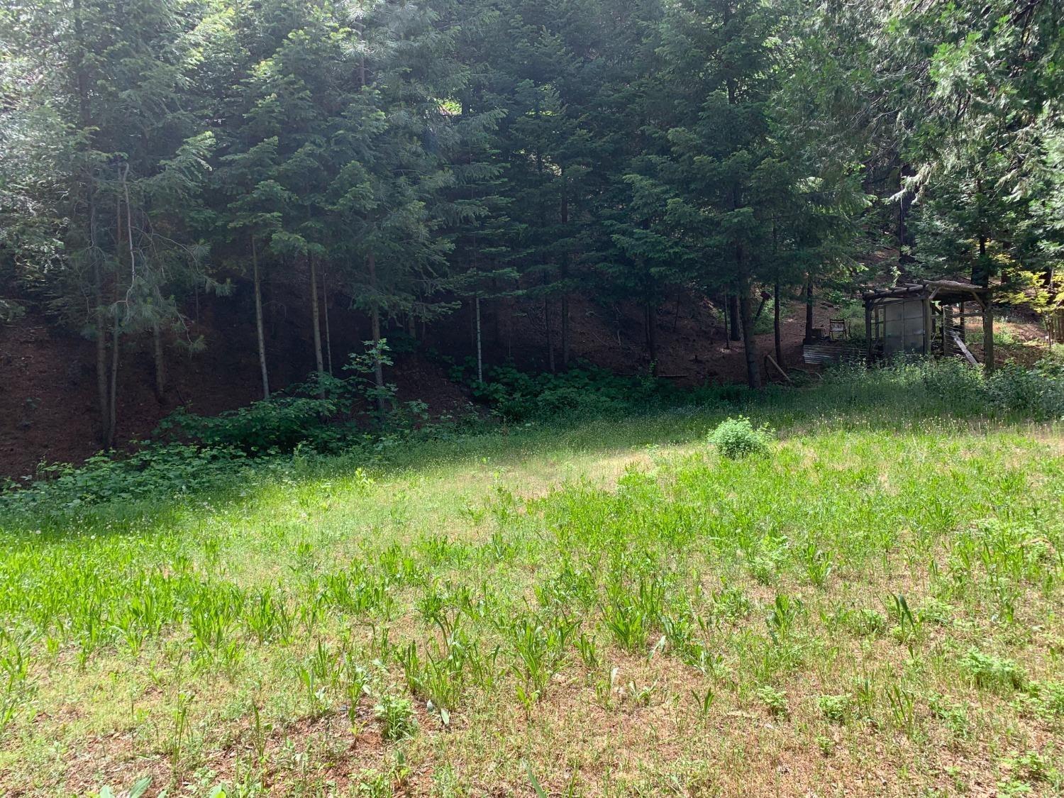 Stacy Lane, Pollock Pines, California image 3