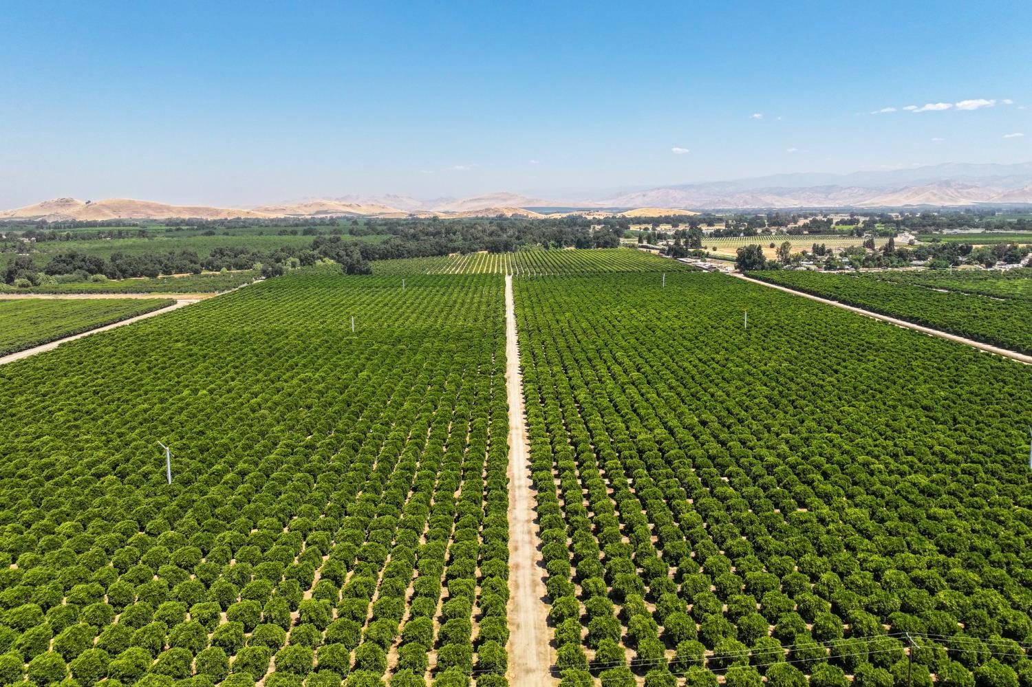 Ca 198, Exeter, California image 2