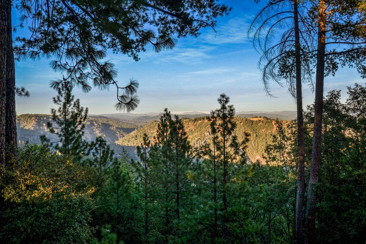 Gold View Way, Pine Grove, California image 9