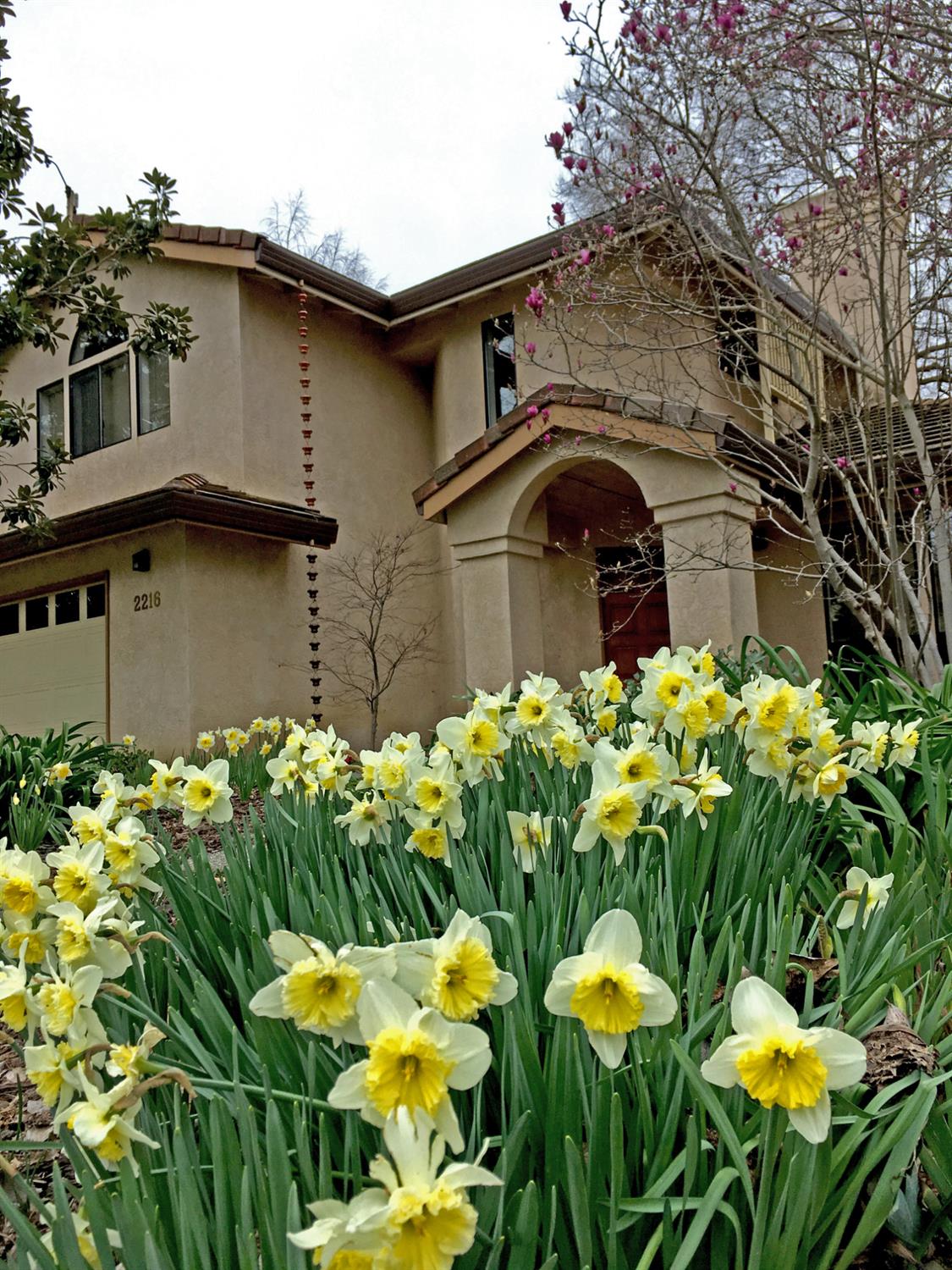Bryce Lane, Davis, California image 32