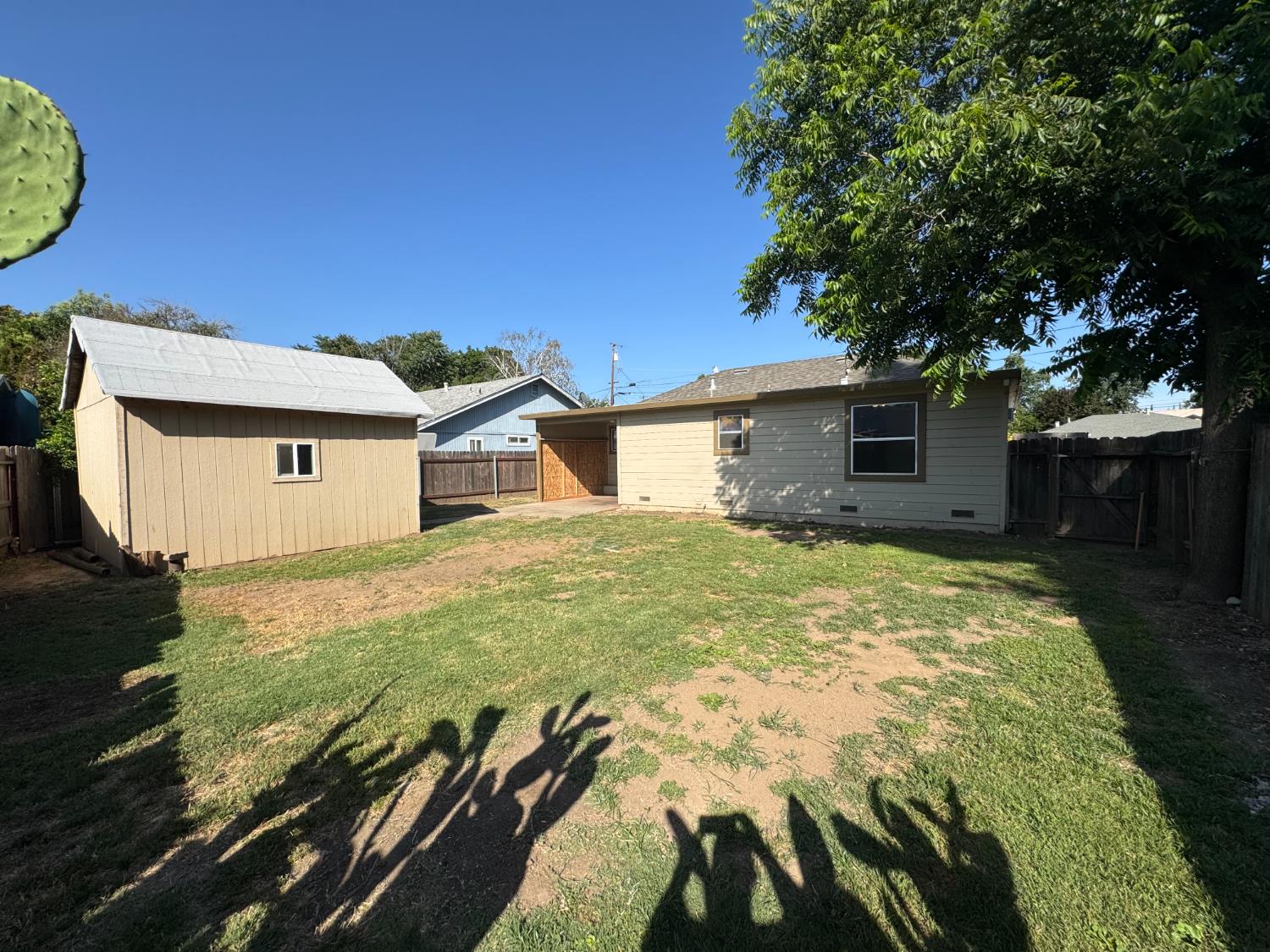 Dorman Avenue, Yuba City, California image 7