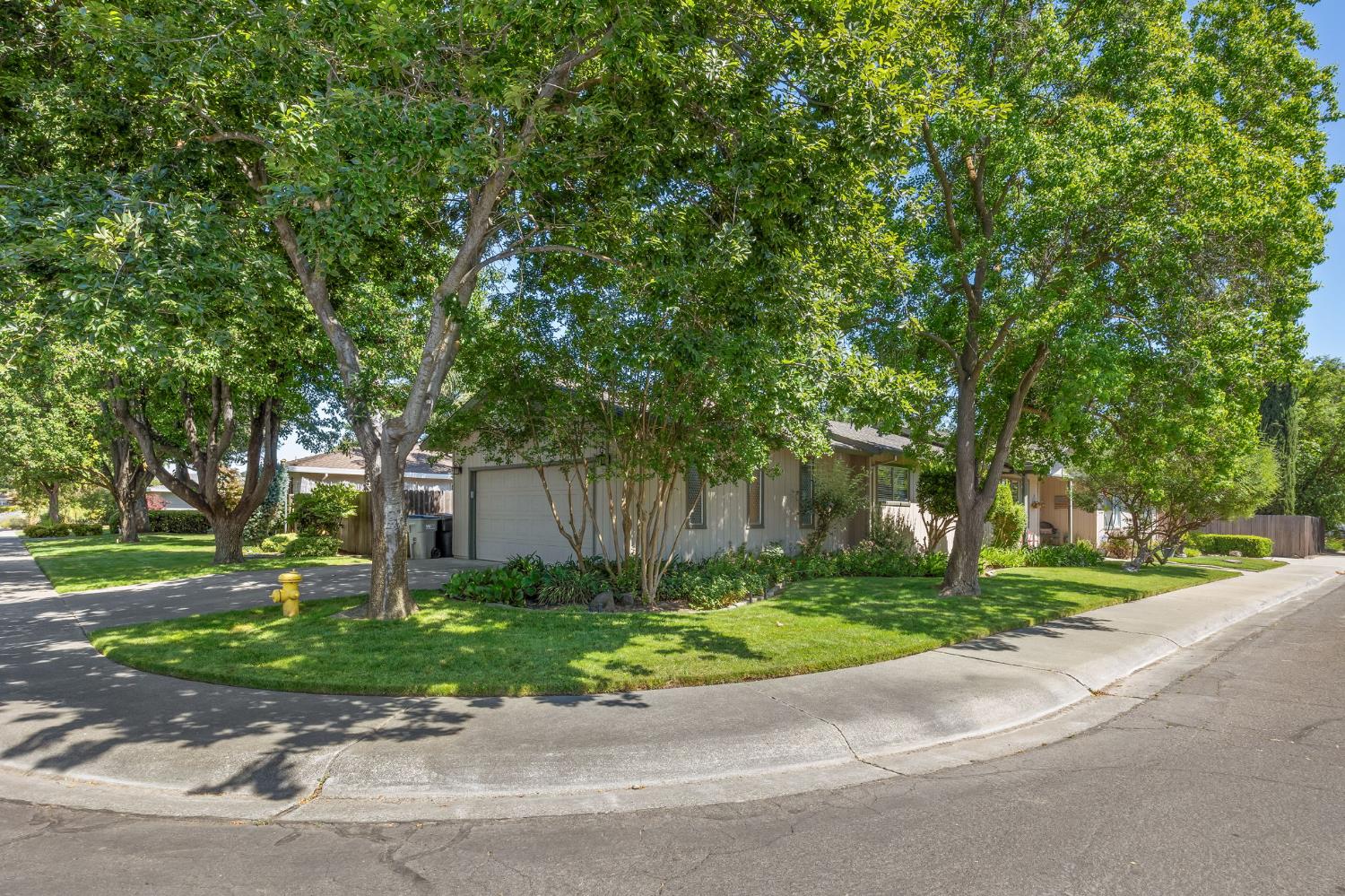 Mckinley Avenue, Woodland, California image 7