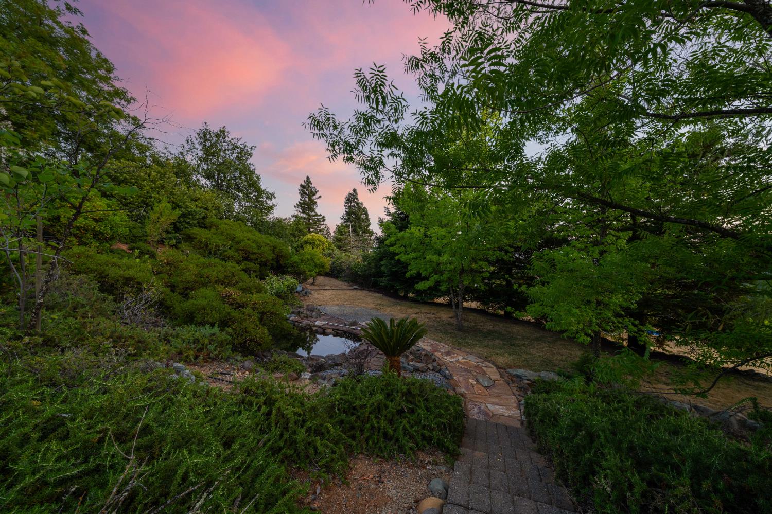 Surry Lane, Cameron Park, California image 41