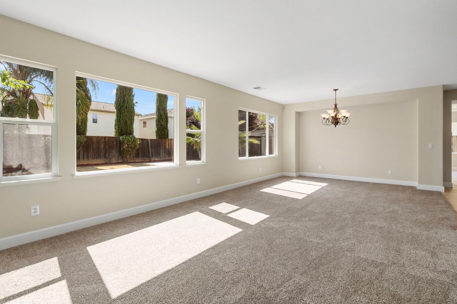 Daylily Lane, Patterson, California image 13