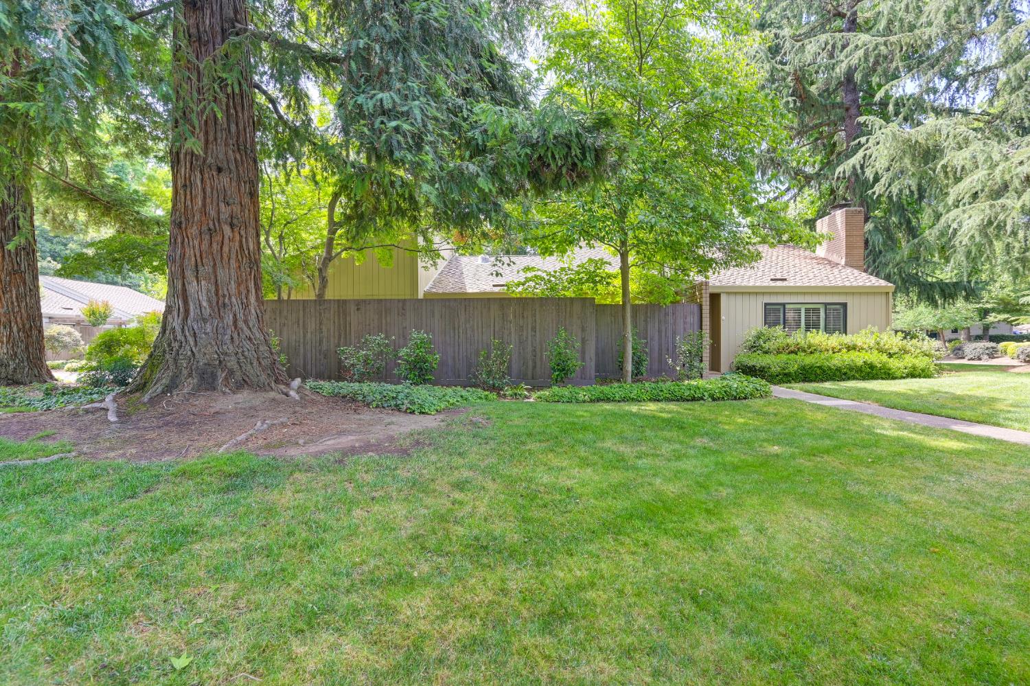 Vanderbilt, Sacramento, California image 36